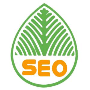罗庄提升网站移动适配的注意事项